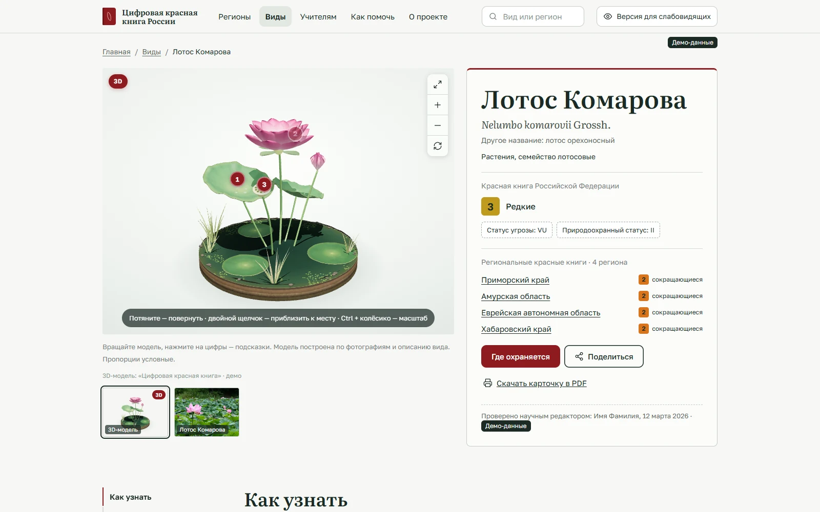 Объёмная модель лотоса и пояснения в демонстрации Цифровой Красной книги